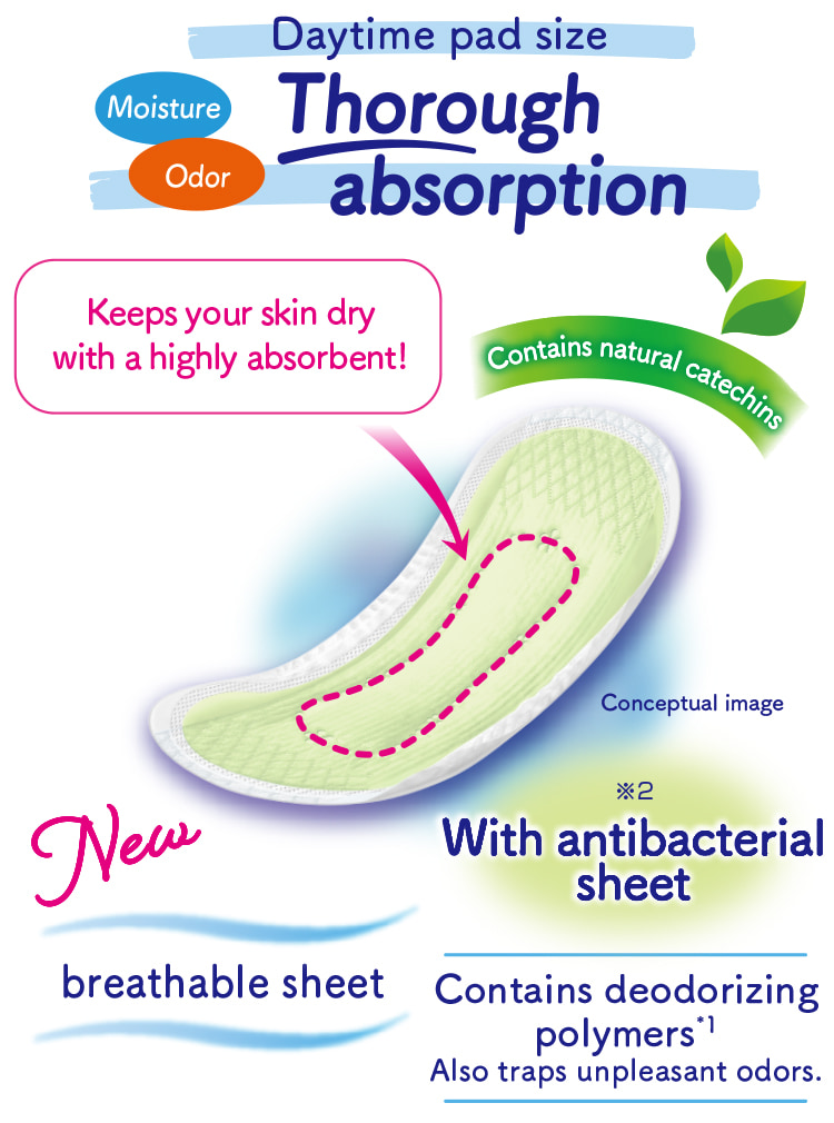 Daytime pad size Moisture Odor Thorough absorption Keeps your skin dry with a highly absorbent! Contains natural catechins Contains deodorizing polymers*1 Also traps unpleasant odors. breathable sheet With antibacterial sheet※2