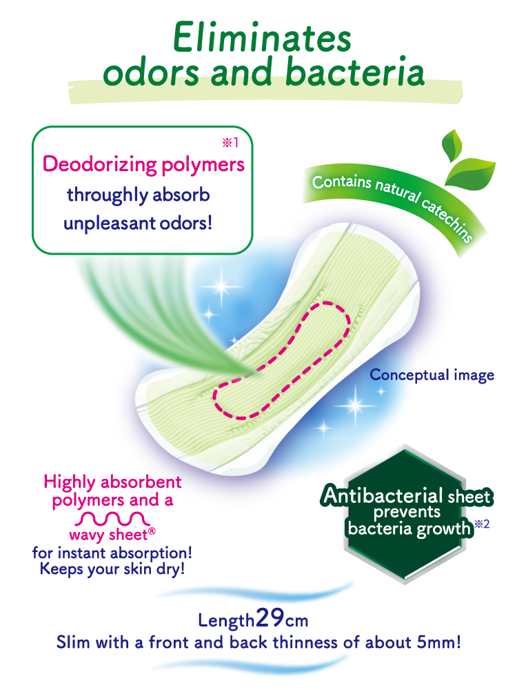 Eliminates odors and bacteria Deodorizing polymers※1 throughly absorb unpleasant odors! Contains natural catechins Antibacterial sheet prevents bacteria growth※2 Highly absorbent polymers and a wavy sheet&reg; for instant absorption! Keeps your skin dry! Length29cm Slim with a front and back thinness of about 5mm!