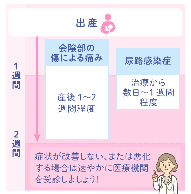 出産→【1週間】会陰部の傷による痛み(産後1~2週間程度)/尿路感染症(治療から数日~1週間程度)【2週間】 症状が改善しないまたは悪化する場合は速やかに医療機関を受診しましょう!